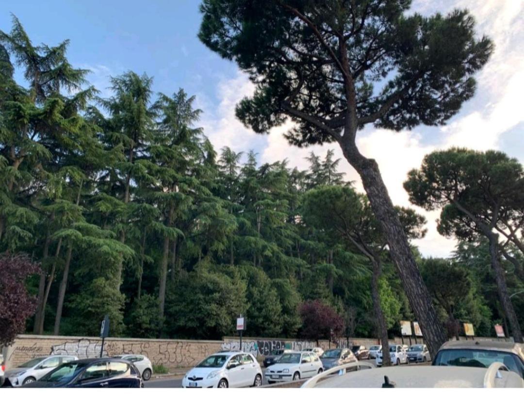 Roma San Pietro Διαμέρισμα Εξωτερικό φωτογραφία
